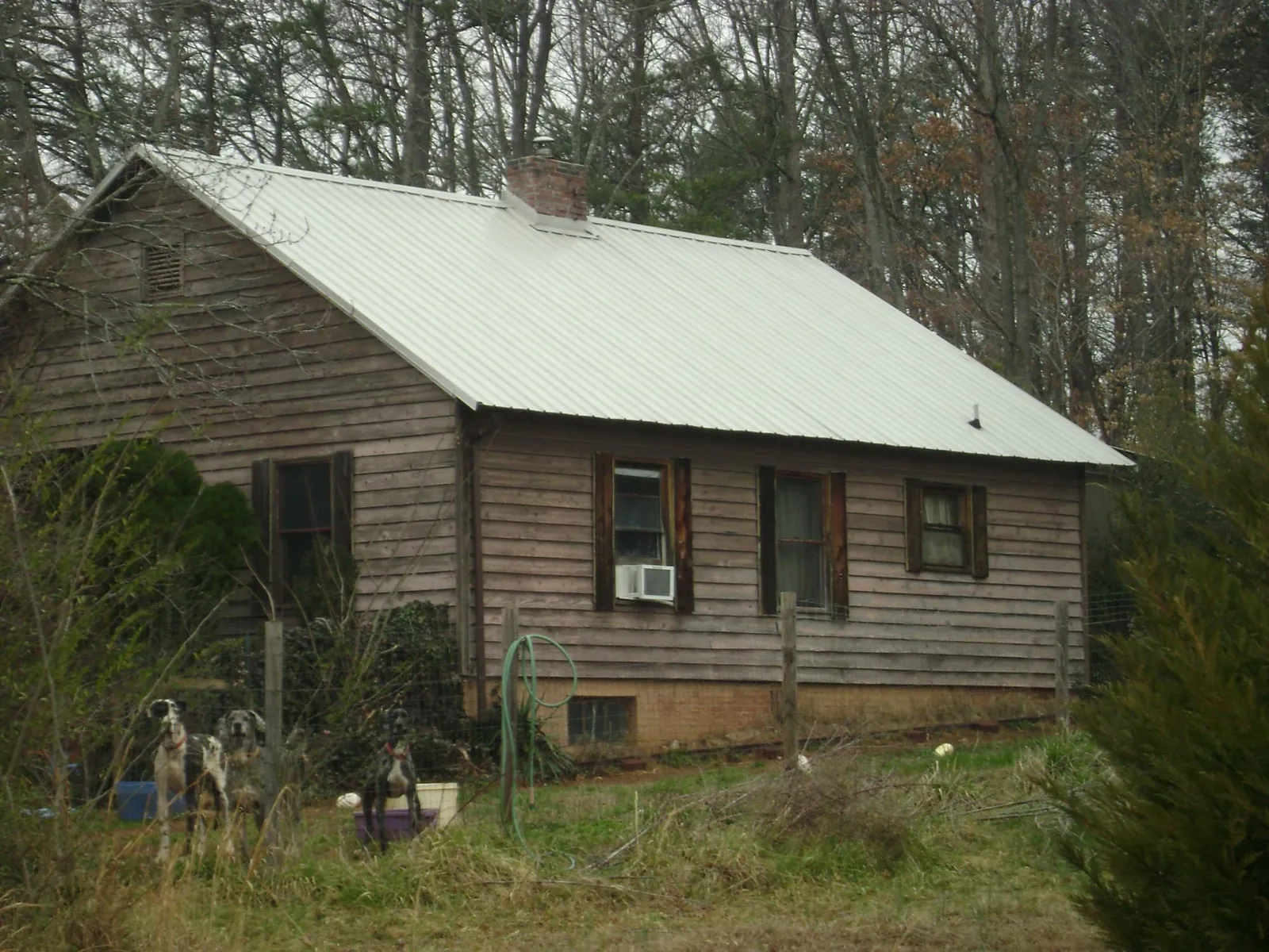 White metal roof on an old wood sided farmhouse, from a Asphalt Shingle Roof Repair job in Youngsville